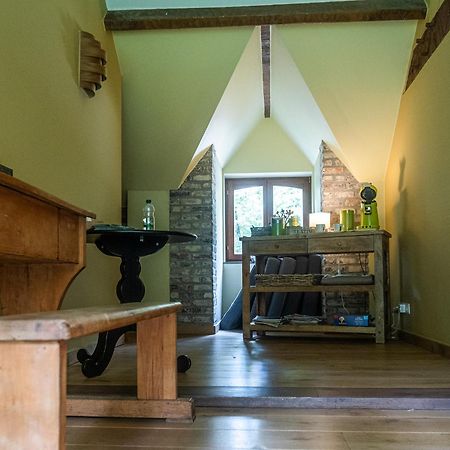 La Maison D'Emile Masnuy-Saint-Jean Luaran gambar